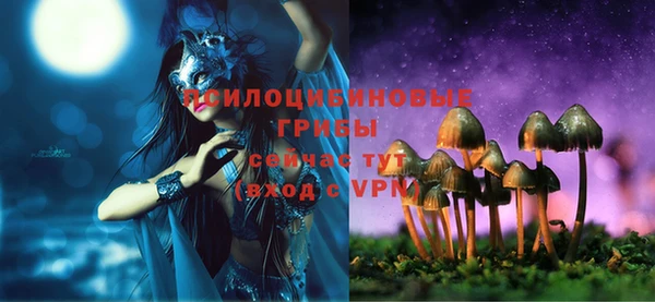 спиды Алексин